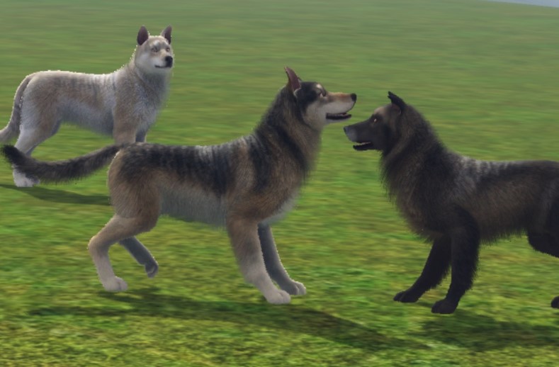 The Wolf Pack- Sims 4 Challenge